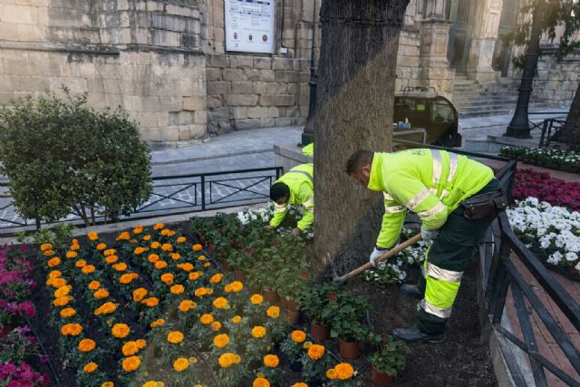 Yecla se viste de primavera con una espectacular cobertura de flores en la plaza de España
