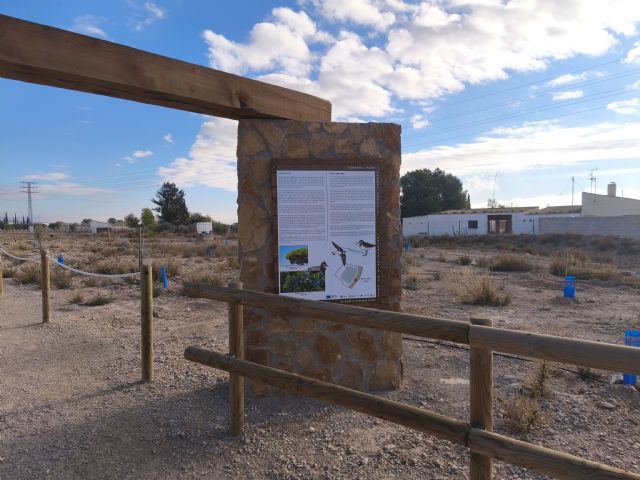 La dejadez municipal seca la práctica totalidad de los árboles plantados en las celadillas