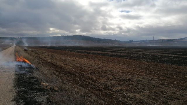 Efectivos del Infomur apagan un incendio en terreno agrícola en Yecla