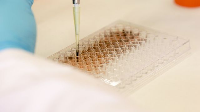 El producto patentado, BioGraph, posee características únicas en tratamientos dermatológicos como el tiempo de cicatrización de las heridas