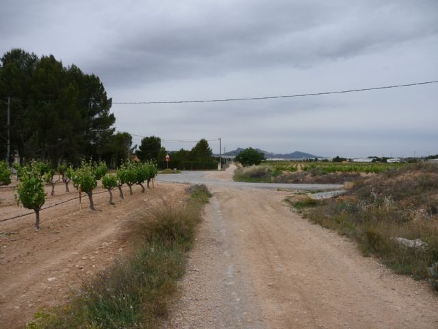 La Vía Verde del Chicharra proyecta un nuevo tramo de nueve kilómetros que conectará Yecla con la Comunidad Valenciana